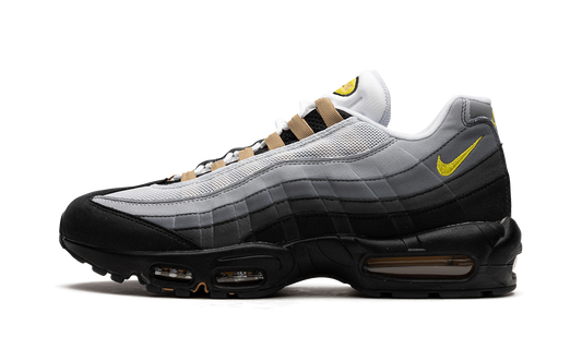 Air Max 95 "ICONS" DX4236 100