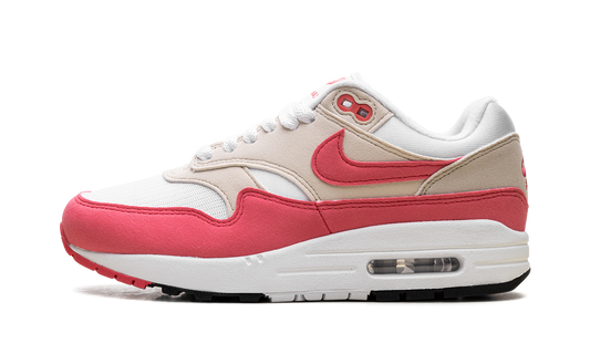 Air Max 1 WMNS "Aster Pink" DZ2628 110