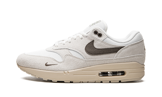 Air Max 1 "Sail Ironstone" DZ4494 100